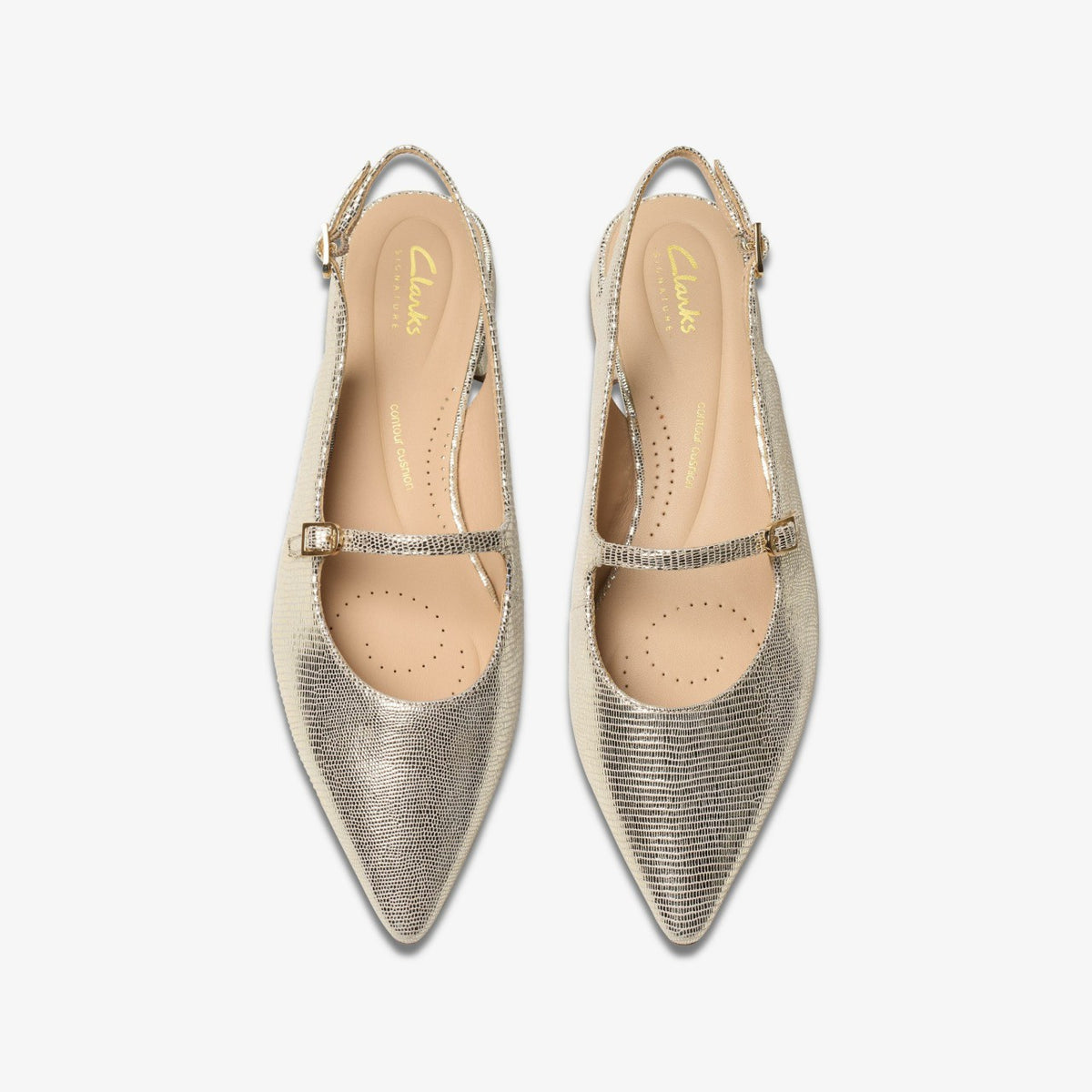 Clarks Signature / Sensa 15 Shine Champagne Interest