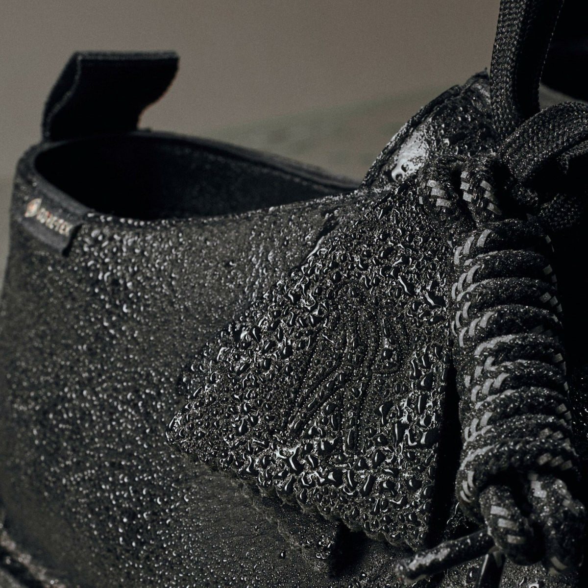 Clarks Featured / Desert Trek GORE-TEX Black Leather