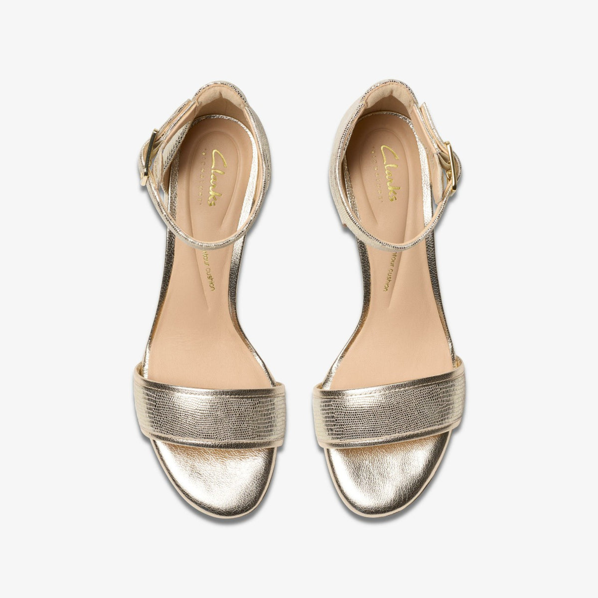 Clarks Signature / Ezoria Mae Champagne Interest