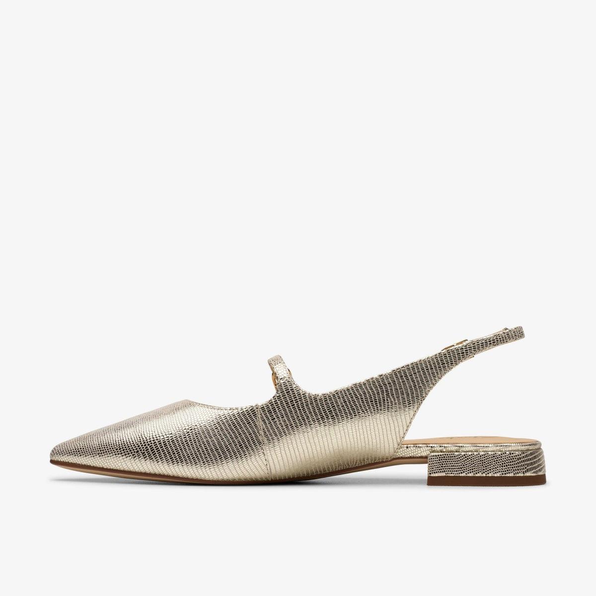 Clarks Signature / Sensa 15 Shine Champagne Interest