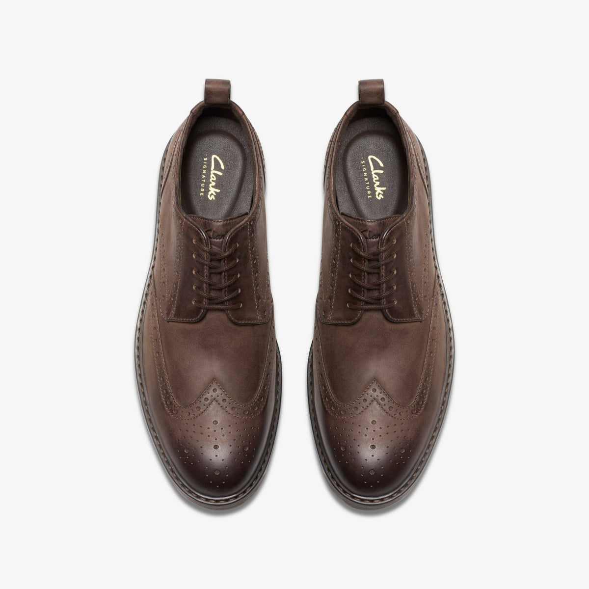 Clarks Premium / Aldwin Limit Brogue Brown Leather
