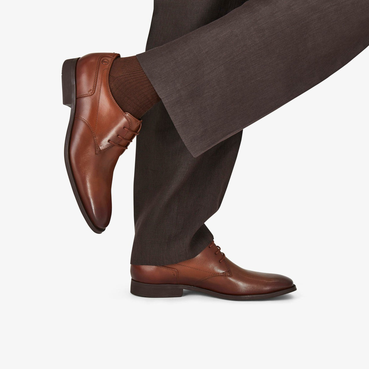 Clarks Premium / Paulton Lace Tan