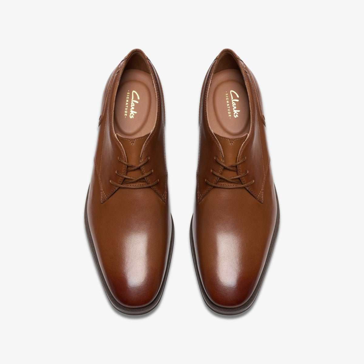 Clarks Premium / Paulton Lace Tan