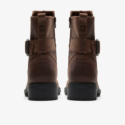 Clarks Best Price / Hearth Buckle Dark Brown